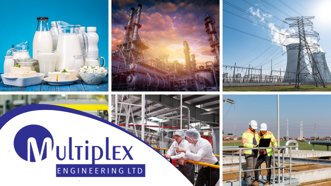 Servicing Multiple Industry Sectors Multiplex